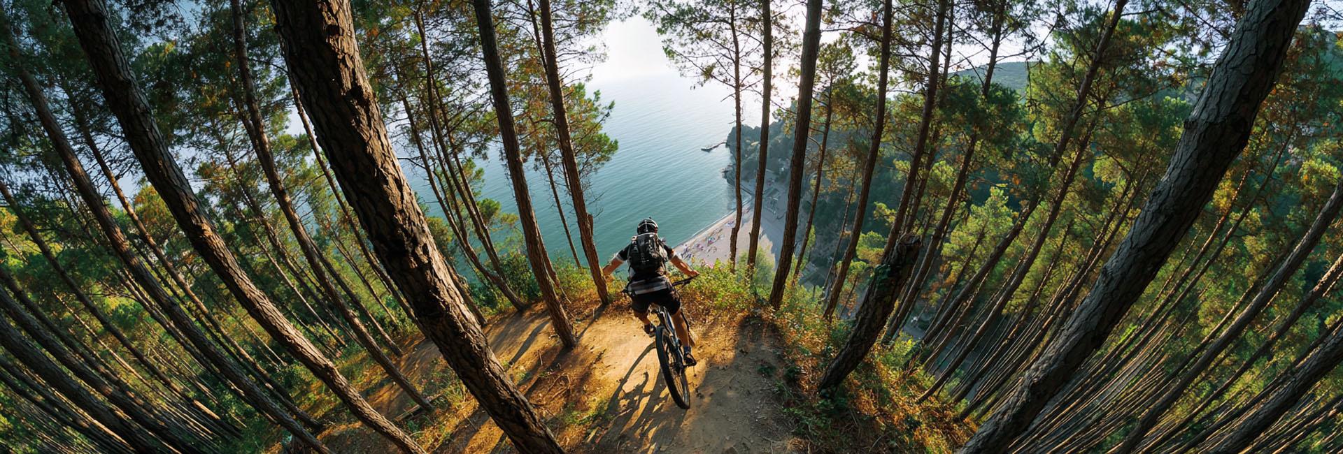 Road and mountain bike helmet